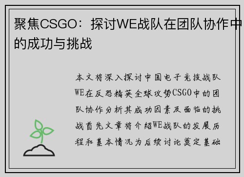 聚焦CSGO：探讨WE战队在团队协作中的成功与挑战